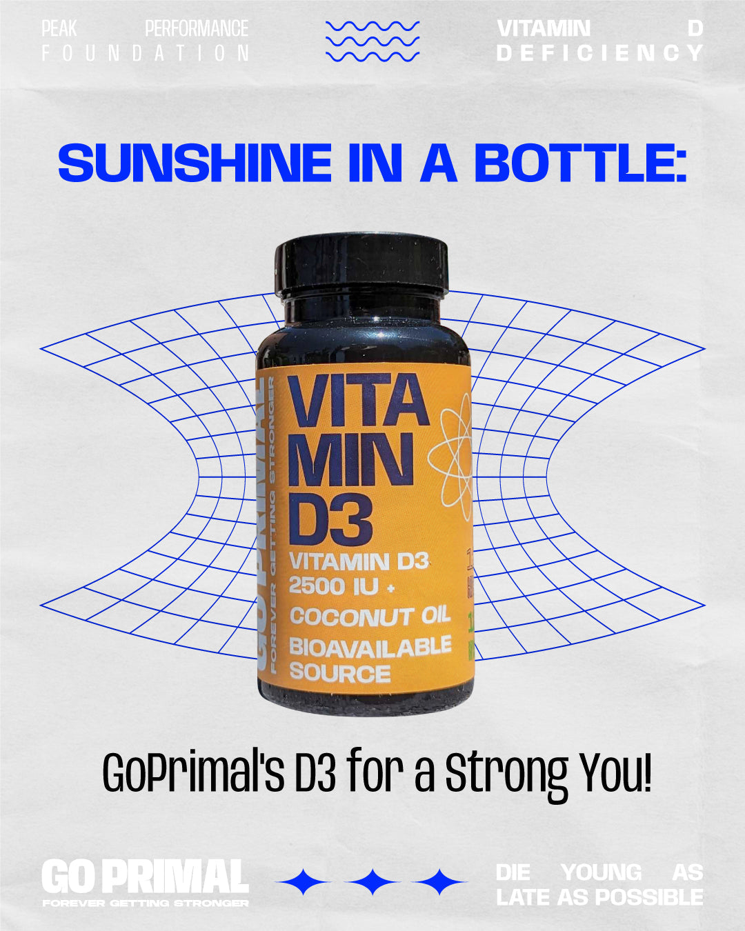 How Your Vitamin D3 Levels Decide What Happens to Your Food