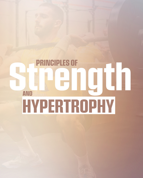 Principles of strength, hypertrophy and muscular endurance: Progressive overload