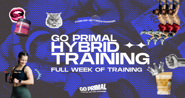 How to be a Hybrid Training