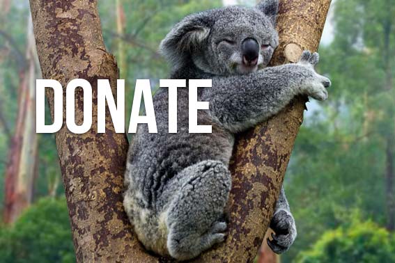 Save Australia´s WildLife: Donate - GO PRIMAL